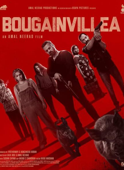 فیلم گل کاغذی Bougainvillea 2024