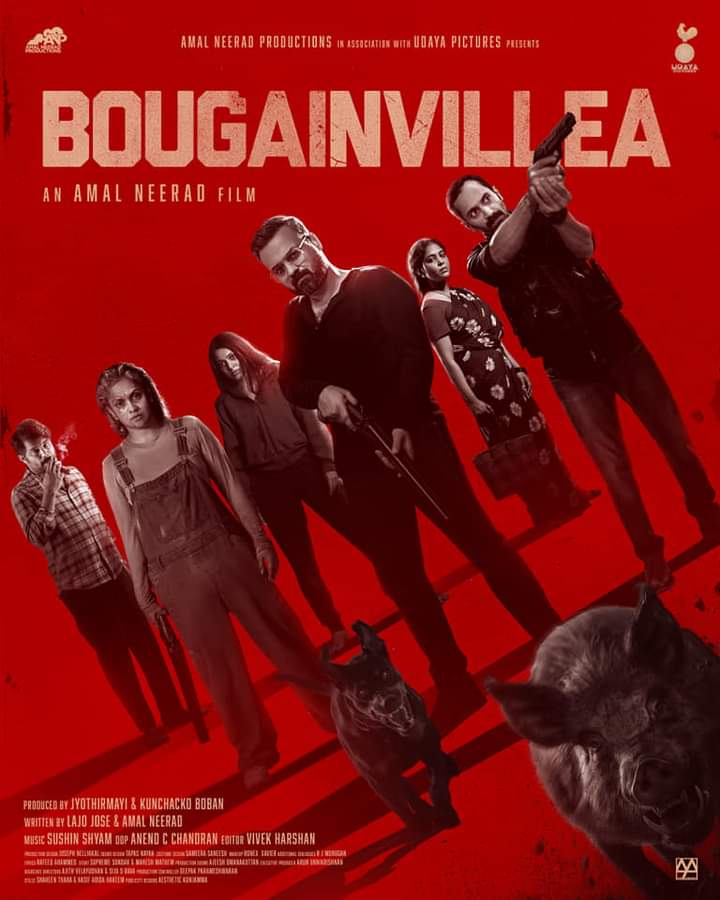 فیلم گل کاغذی Bougainvillea 2024