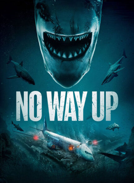 فیلم هیچ راهی به بالا نیست No Way Up 2024 دوبله فارسی